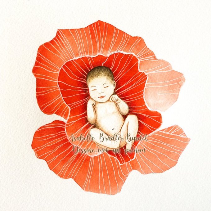 Carte pliée Le bébé coquelicot