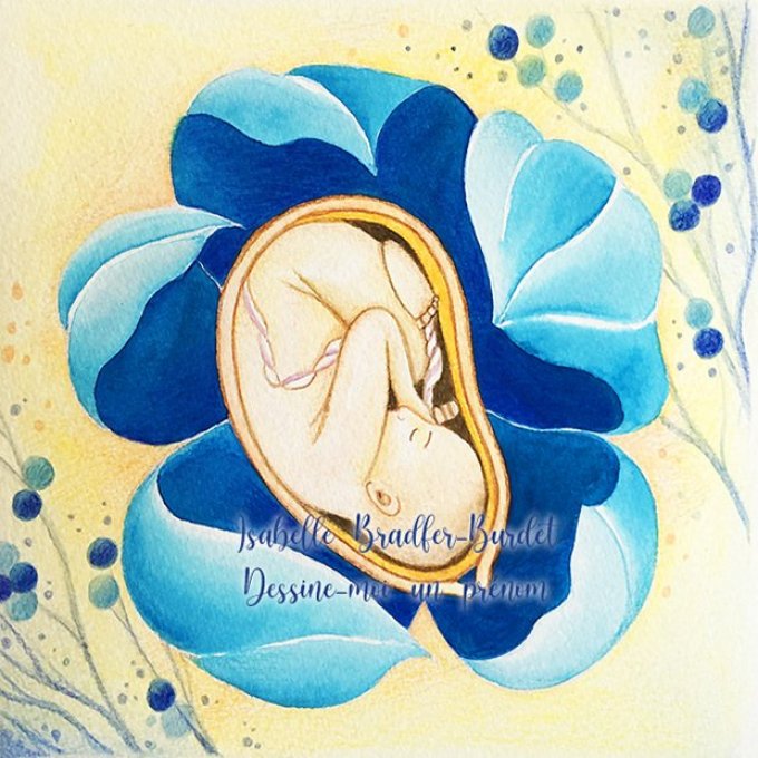 Carte pliée Ma grossesse en bleu