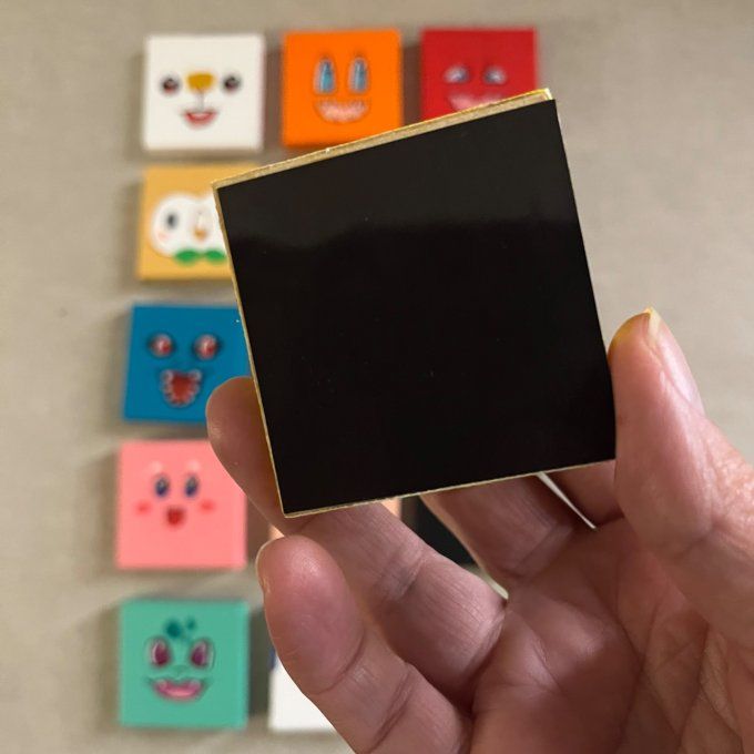 Magnets Pokémon