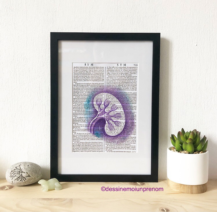 Aquarelle anatomique Rein